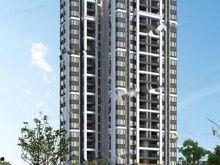 南沙潭洲最新爆料,揭秘未来城市新地标诞生记  第3张