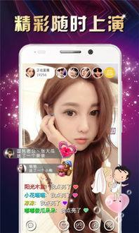 金沙视频在线观看  第2张